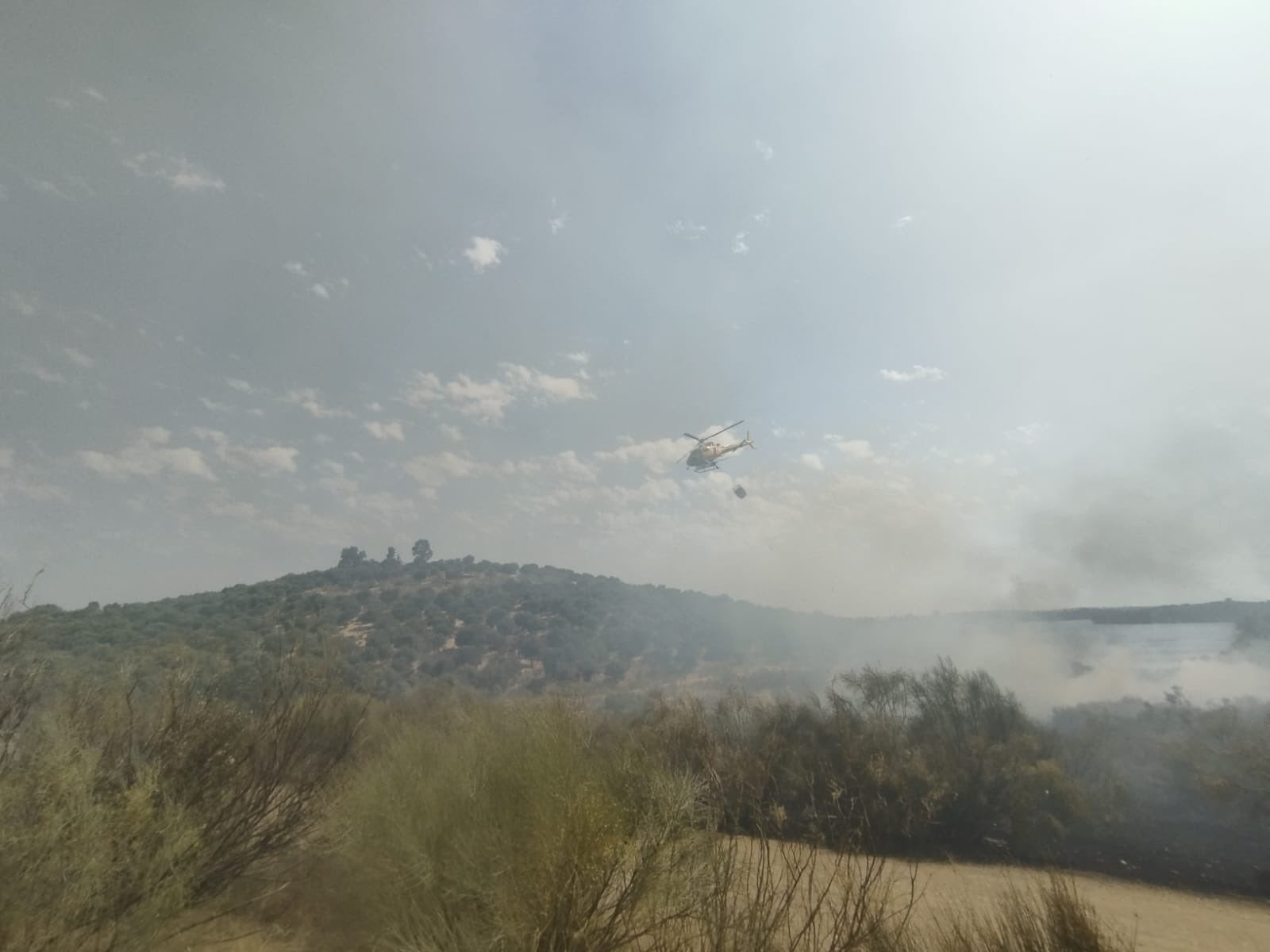 Desactivado el nivel 1 de peligrosidad del incendio forestal próximo a Navalvillar de Pela Desactivado el nivel 1 de peligrosidad del incendio forestal próximo a Navalvillar de Pela