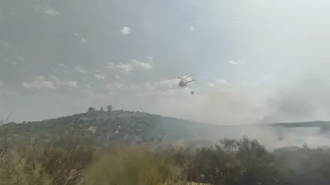 Desactivado el nivel 1 de peligrosidad del incendio forestal próximo a Navalvillar de Pela Desactivado el nivel 1 de peligrosidad del incendio forestal próximo a Navalvillar de Pela