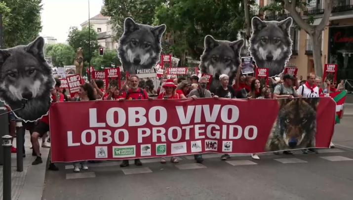 Varias Asociaciones extremeñas alzaban este domingo su voz en Madrid en defensa del lobo ibérico Varias Asociaciones extremeñas alzaban este domingo su voz en Madrid en defensa del lobo ibérico