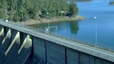 Prohíben navegación en pantano Peña del Águila para evitar propagación de especie invasora Prohíben navegación en pantano Peña del Águila para evitar propagación de especie invasora