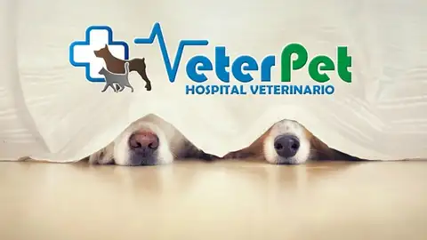 VeterPet Pirotécnia VeterPet Pirotécnia