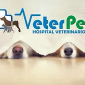 VeterPet Pirotécnia VeterPet Pirotécnia