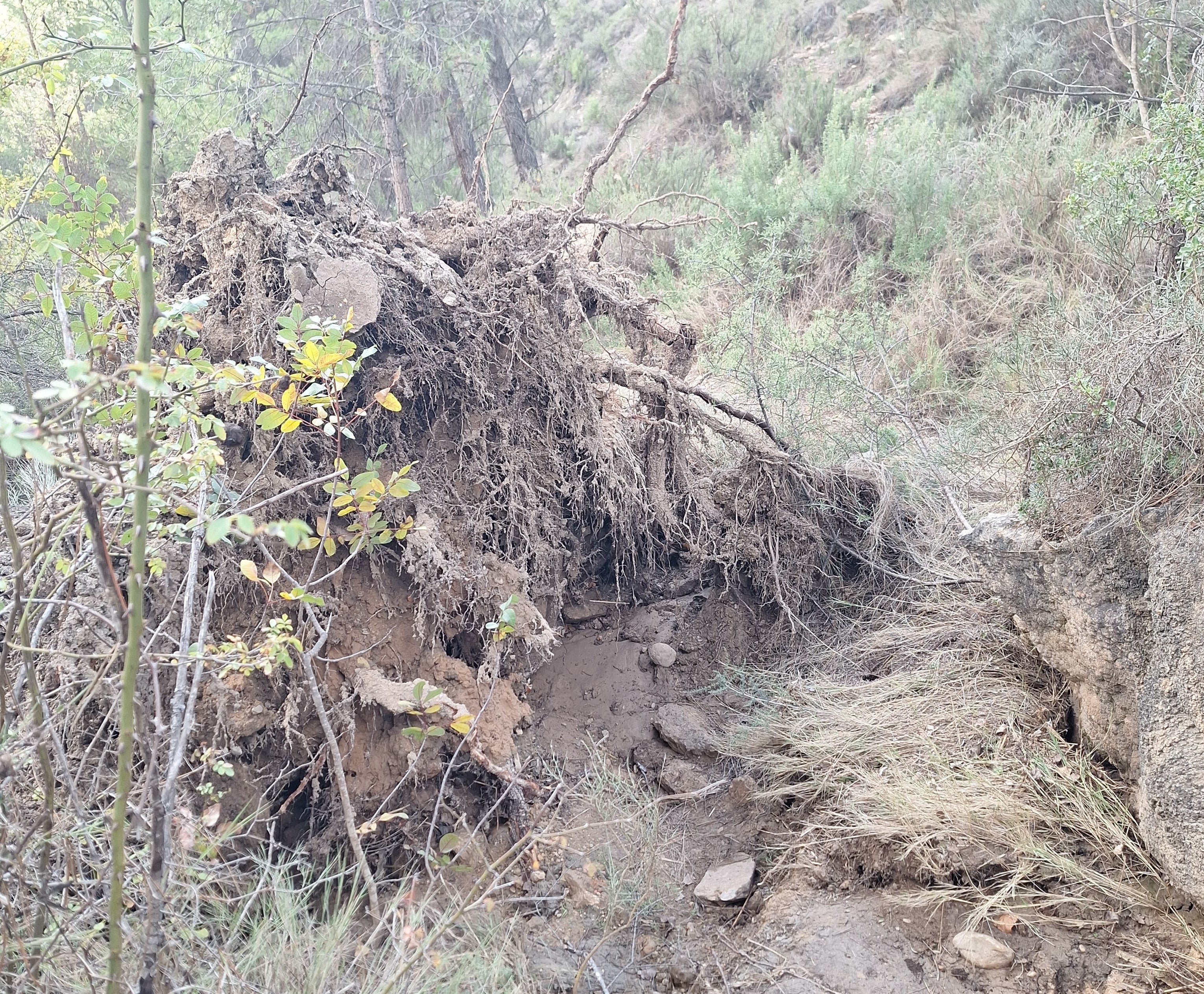 Prohíben el baño en Las Chorreras del Cabriel por la peligrosidad tras la dana Prohíben el baño en Las Chorreras del Cabriel por la peligrosidad tras la dana