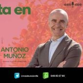 Más de uno Sevilla