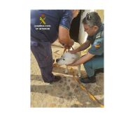 Perro rescatado por el SEPRONA en Alcolea