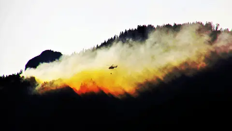 Incendio forestal Incendio forestal