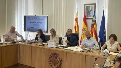 Aprueban presentar dos proyectos de mejora de áreas industriales en la IVACE por valor de 600.000 euros Aprueban presentar dos proyectos de mejora de áreas industriales en la IVACE por valor de 600.000 euros