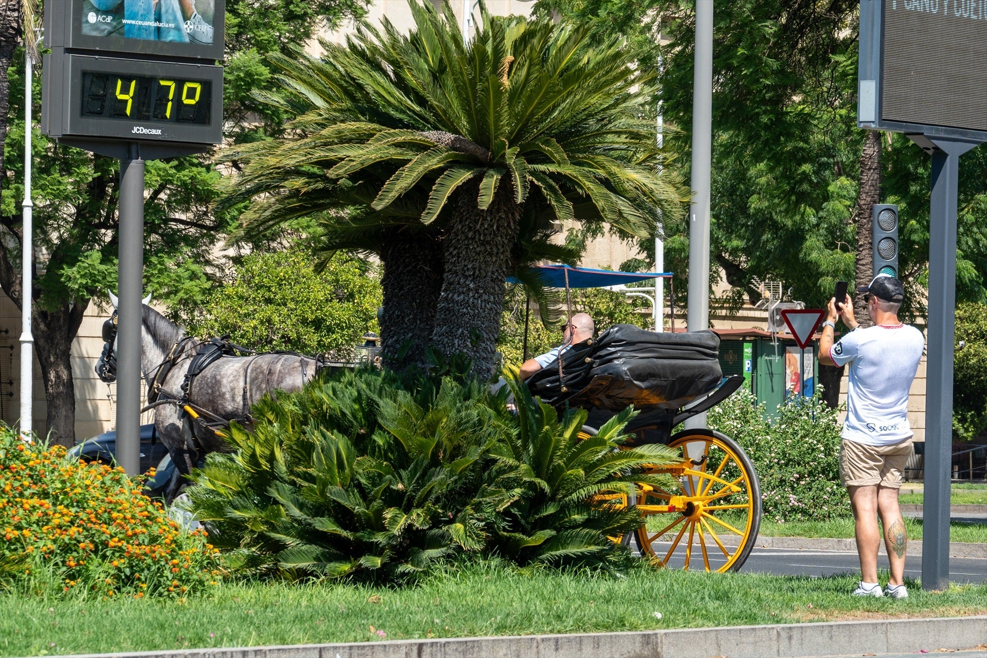 La AEMET lanza un aviso urgente por temperaturas extremas: las provincias que más sufrirán la ola de calor La AEMET lanza un aviso urgente por temperaturas extremas: las provincias que más sufrirán la ola de calor