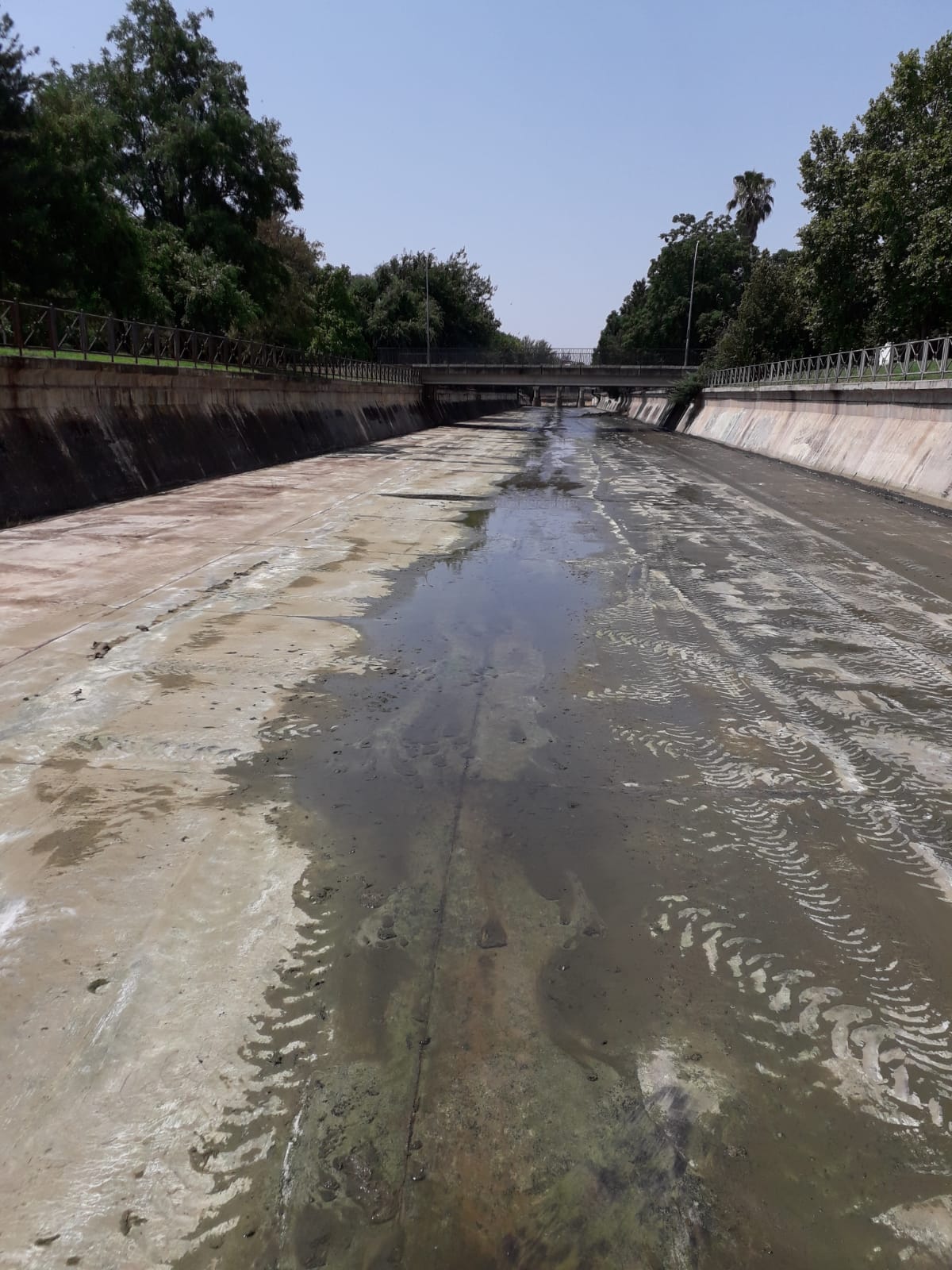 El Ayuntamiento realiza la limpieza periódica del cauce del río Albarregas en su tramo urbano El Ayuntamiento realiza la limpieza periódica del cauce del río Albarregas en su tramo urbano