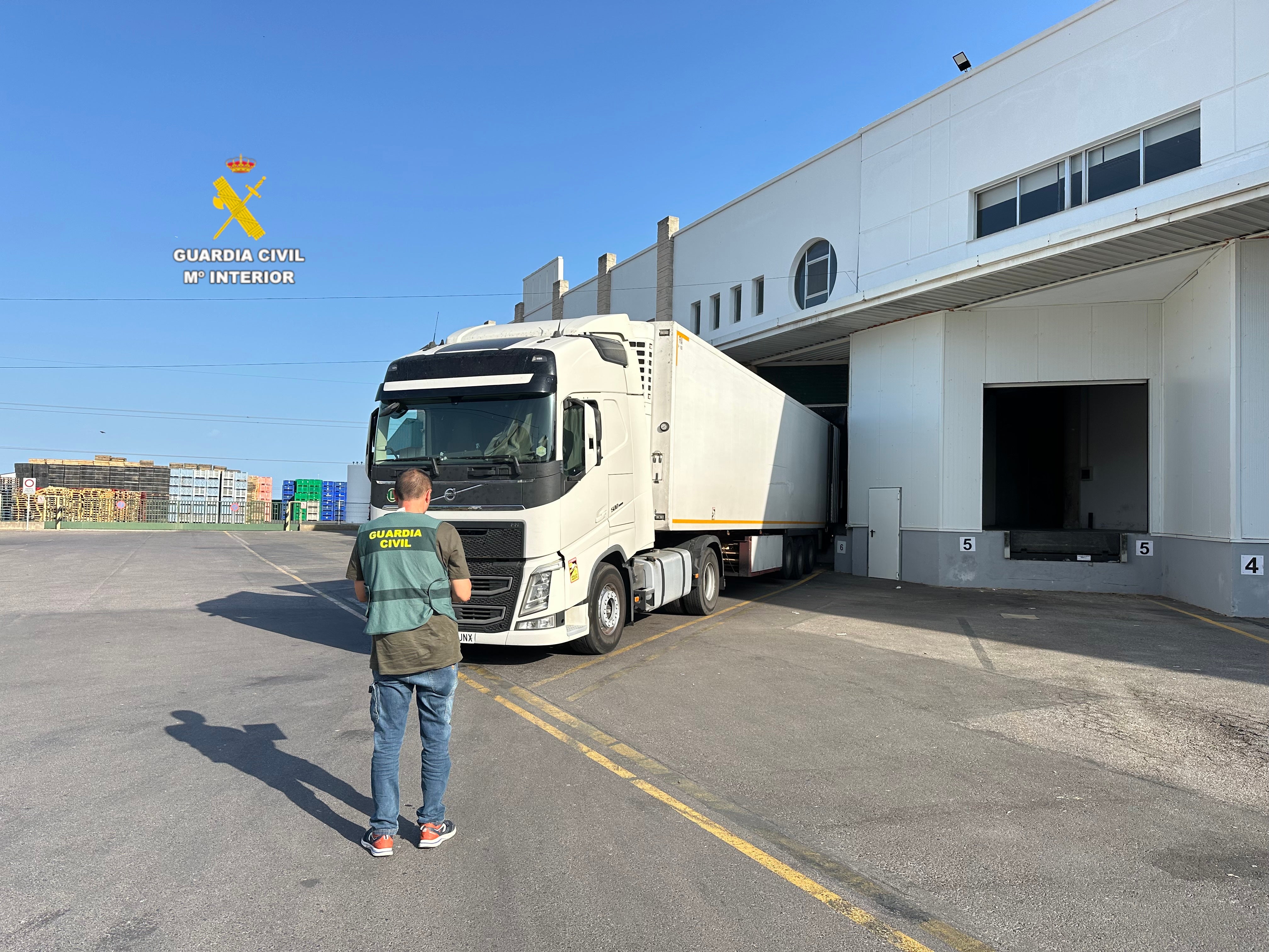 La Guardia Civil desarticula un grupo criminal dedicado a estafas en la compra venta de frutas y hortalizas en Nules La Guardia Civil desarticula un grupo criminal dedicado a estafas en la compra venta de frutas y hortalizas en Nules