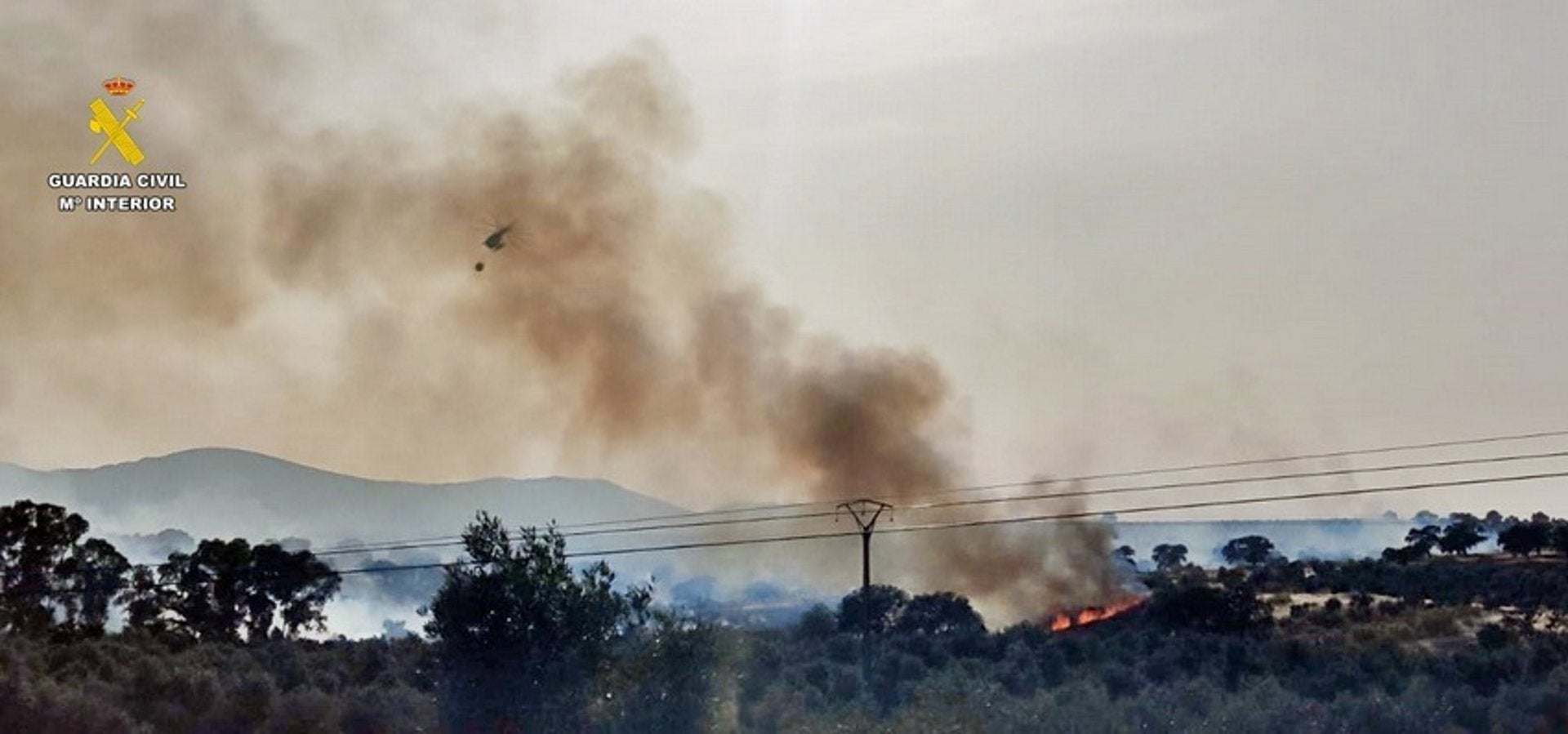 La Guardia Civil concluye que el incendio del 8 de junio en Monterrubio fue provocado por una cosechadora La Guardia Civil concluye que el incendio del 8 de junio en Monterrubio fue provocado por una cosechadora