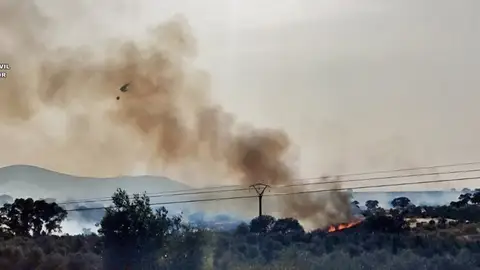La Guardia Civil concluye que el incendio del 8 de junio en Monterrubio fue provocado por una cosechadora La Guardia Civil concluye que el incendio del 8 de junio en Monterrubio fue provocado por una cosechadora