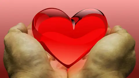 El Centro de Transfusión estrena un nuevo portal web y la app GVA Donantes y recuerda que una donación salva tres vidas Centro de transfusión