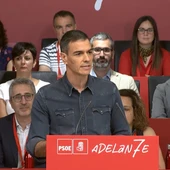 Pedro Sánchez durante su intervención en el Comité Federal del PSOE Pedro Sánchez durante su intervención en el Comité Federal del PSOE