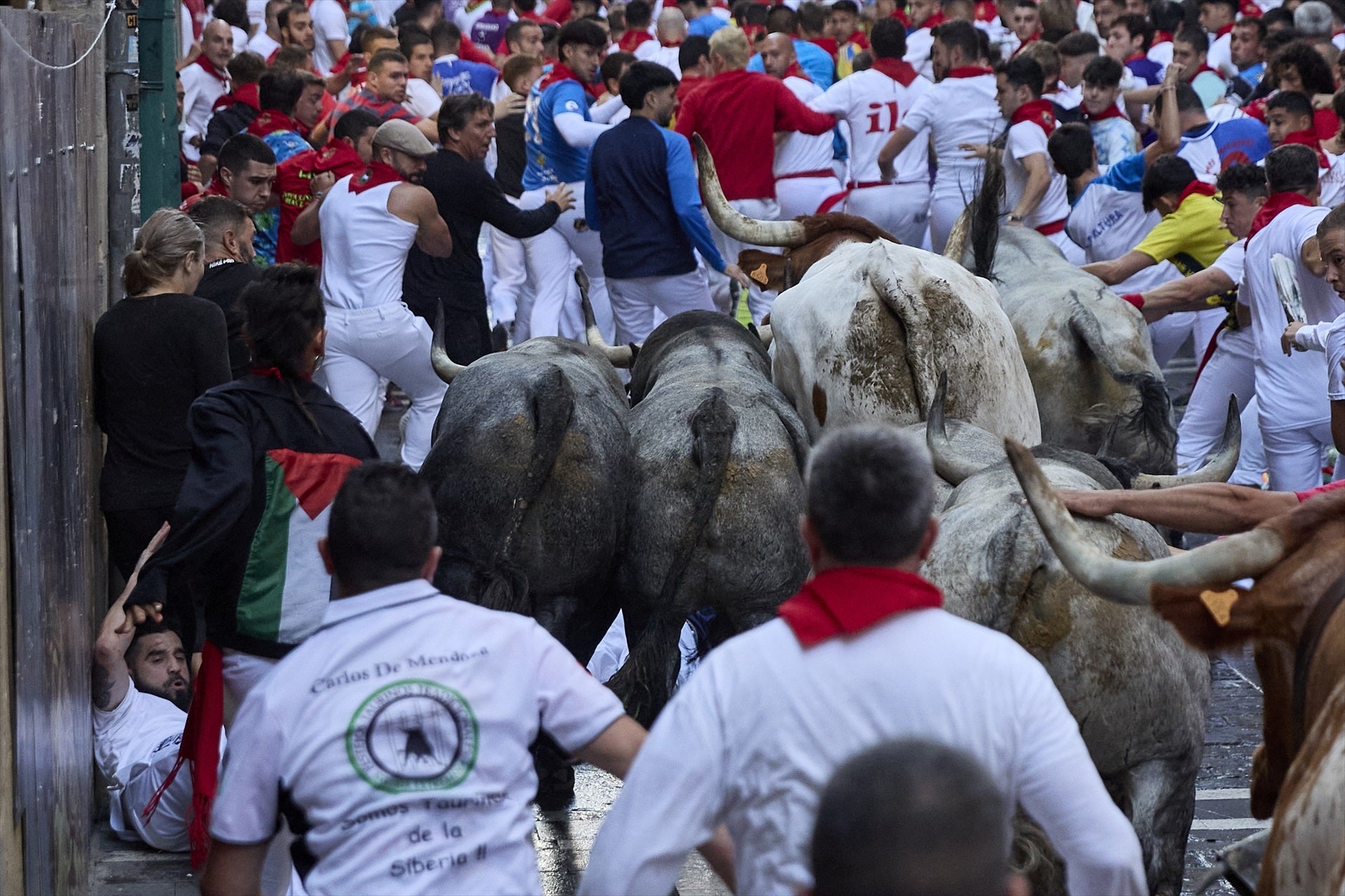 Los toros de José Escolar dejan un encierro rápido, limpio y con cinco heridos Los toros de José Escolar dejan un encierro rápido, limpio y con cinco heridos