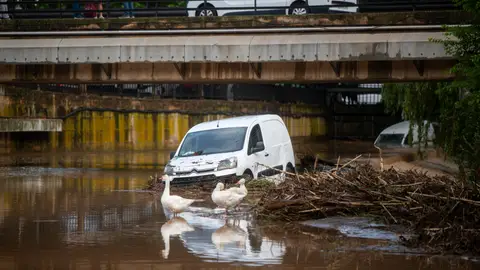 Consecuencias de las fuertes lluvias en Barcelona Consecuencias de las fuertes lluvias en Barcelona