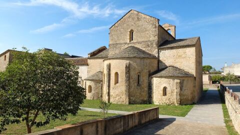 cervi&agrave; de ter