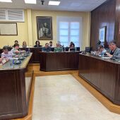 pleno julio villajoyosa