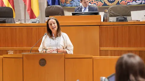 Aragón recibirá 251 menas desde finales de agosto La consejera de Bienestar Social, Carmen Susín, no ha acudido a la Conferencia Sectorial que finalmente se ha cancelado