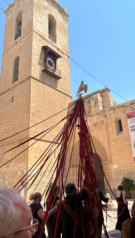 Día del Pájaro 2025 (Orihuela)