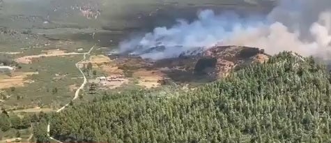 Estabilizado el incendio forestal declarado en el norte de Tenerife Estabilizado el incendio forestal declarado en el norte de Tenerife