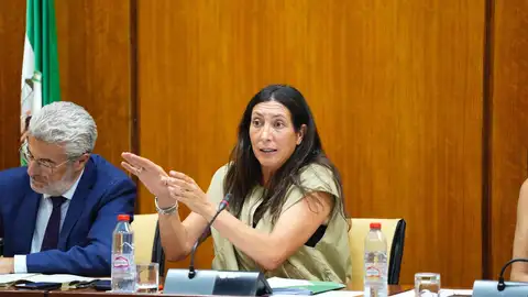 La consejera de Inclusión Social, Loles López, en la comisión del 29 de julio de 2025. - JOAQUIN CORCHERO / PARLAMENTO DE ANDALUCIA La consejera de Inclusión Social, Loles López, en la comisión del 29 de julio de 2025. - JOAQUIN CORCHERO / PARLAMENTO DE ANDALUCIA