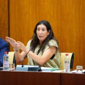 La consejera de Inclusión Social, Loles López, en la comisión del 29 de julio de 2025. - JOAQUIN CORCHERO / PARLAMENTO DE ANDALUCIA