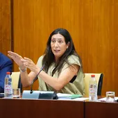La consejera de Inclusión Social, Loles López, en la comisión del 29 de julio de 2025. - JOAQUIN CORCHERO / PARLAMENTO DE ANDALUCIA La consejera de Inclusión Social, Loles López, en la comisión del 29 de julio de 2025. - JOAQUIN CORCHERO / PARLAMENTO DE ANDALUCIA