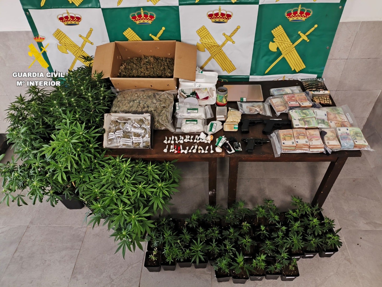 La Guardia Civil desmantela un punto de venta de drogas y una plantación de marihuana en la Plana Baixa La Guardia Civil desmantela un punto de venta de drogas y una plantación de marihuana en la Plana Baixa