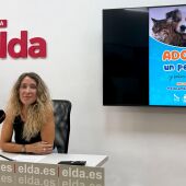 Elda lanza campaña para concienciar sobre la adopción y el abandono de mascotas