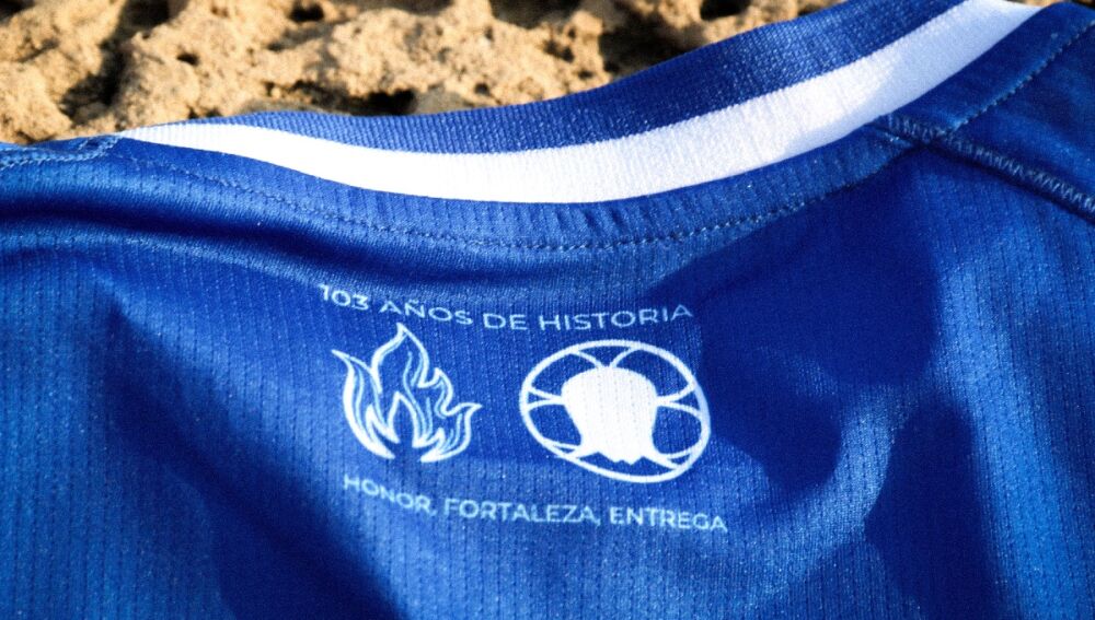Logotipos de las Hogueras de Alicante y la Santa Faz