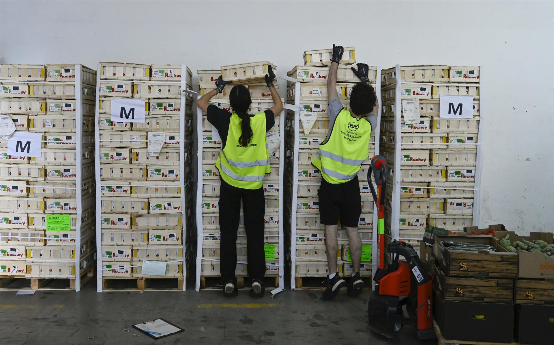 La campaña 'Ningún hogar sin alimentos' recauda más de 46.000 euros en Extremadura La campaña 'Ningún hogar sin alimentos' recauda más de 46.000 euros en Extremadura