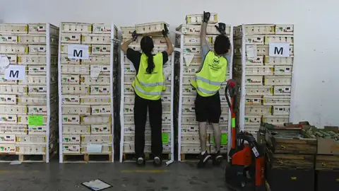 La campaña 'Ningún hogar sin alimentos' recauda más de 46.000 euros en Extremadura La campaña 'Ningún hogar sin alimentos' recauda más de 46.000 euros en Extremadura