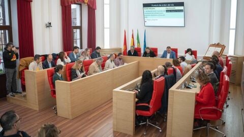 Pleno Municipal M&eacute;rida