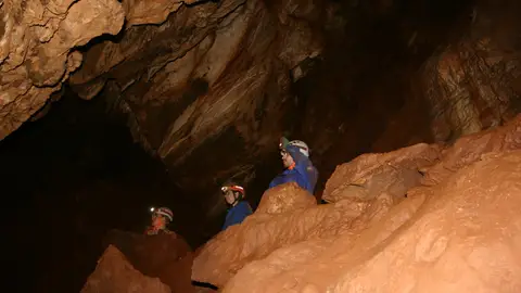 Hallan una nueva cueva en Fuentes de León durante el campo de voluntariado del Instituto de la Juventud Hallan una nueva cueva en Fuentes de León durante el campo de voluntariado del Instituto de la Juventud