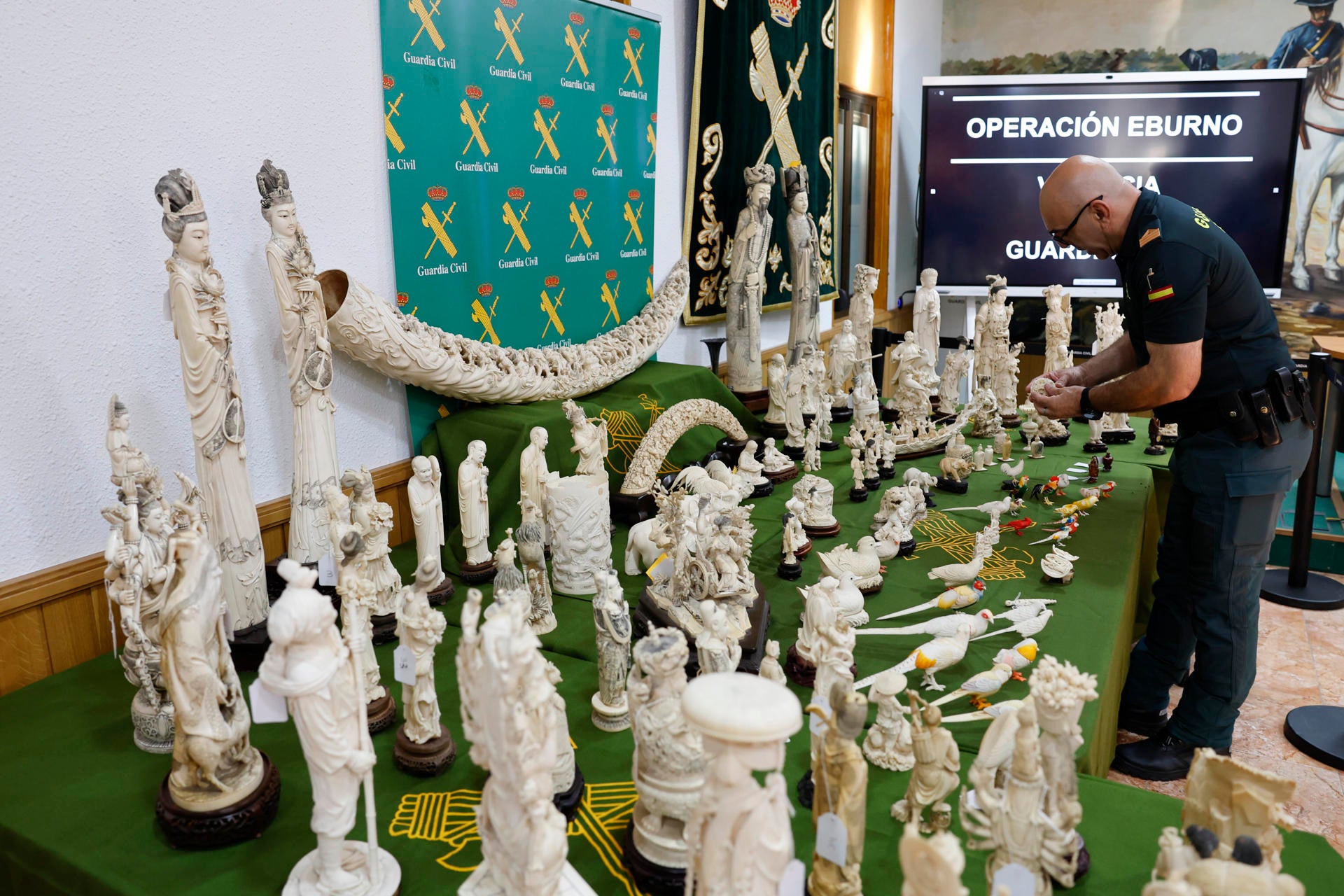 Intervienen en València 127 piezas de marfil comercializadas ilegalmente y detienen a una mujer Intervienen en València 127 piezas de marfil comercializadas ilegalmente y detienen a una mujer