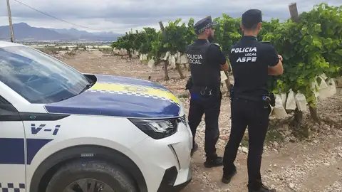 Aspe establece un protocolo específico de vigilancia en los campos de vides contra posibles robos Aspe establece un protocolo específico de vigilancia en los campos de vides contra posibles robos