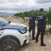 Aspe establece un protocolo específico de vigilancia en los campos de vides contra posibles robos Aspe establece un protocolo específico de vigilancia en los campos de vides contra posibles robos