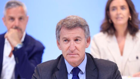  El l&iacute;der del PP, Alberto N&uacute;&ntilde;ez Feij&oacute;o 