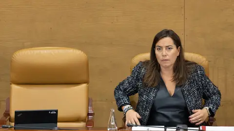 La vicepresidenta primera de la Asamblea de Madrid, Ana Millán Arroyo. La vicepresidenta primera de la Asamblea de Madrid, Ana Millán Arroyo.