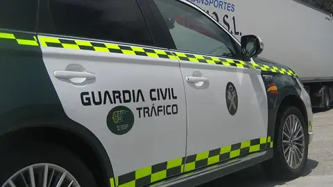 Detenido el conductor de un camión por un atropello mortal en la A-7 en Níjar el 11 de julio Detenido el conductor de un camión por un atropello mortal en la A-7 en Níjar el 11 de julio