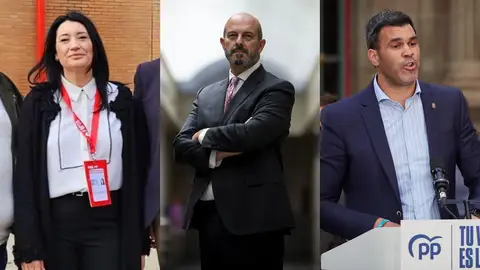 Anabel Mateos (adjunta de la secretaria de organización del PSOE), Pedro Rollán (presidente del Senado) y Javier García (presidente del PP de Navarra) Anabel Mateos (adjunta de la secretaria de organización del PSOE), Pedro Rollán (presidente del Senado) y Javier García (presidente del PP de Navarra)