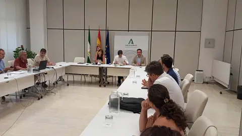 Imagen de la reunión convocada por la Consejería de Salud y Consumo de la Junta de Andalucía para abordar la necesidad de reforzar las medidas de prevención y control del vector en todo el territorio, debido a la aprición del mosquito del Nilo - CONSERJERÍA DE SALUD Y CONSUMO Imagen de la reunión convocada por la Consejería de Salud y Consumo de la Junta de Andalucía para abordar la necesidad de reforzar las medidas de prevención y control del vector en todo el territorio, debido a la aprición del mosquito del Nilo - CONSERJERÍA DE SALUD Y CONSUMO