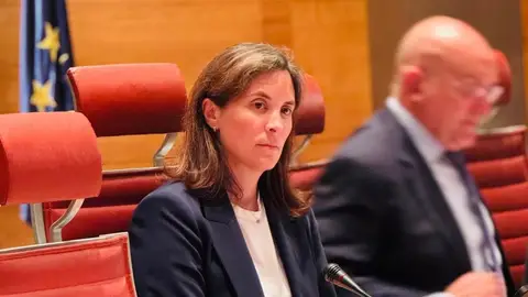 La senadora cordobesa por el PP y portavoz de la comisión de Políticas Integrales de Discapacidad, Cristina Casanueva. - PP La senadora cordobesa por el PP y portavoz de la comisión de Políticas Integrales de Discapacidad, Cristina Casanueva. - PP