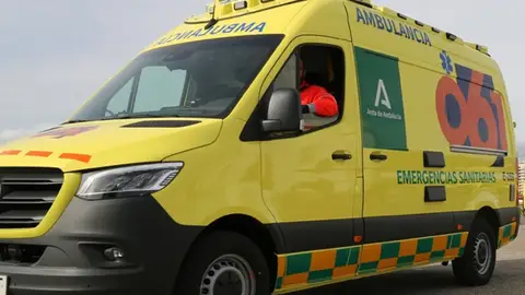 Archivo - Sucesos.- Muere un trabajador tras caer desde el tejado de una fábrica en Estepa (Sevilla) - JUNTA DE ANDALUCÍA - Archivo Archivo - Sucesos.- Muere un trabajador tras caer desde el tejado de una fábrica en Estepa (Sevilla) - JUNTA DE ANDALUCÍA - Archivo