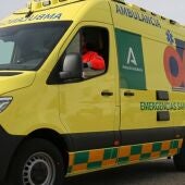 Archivo - Sucesos.- Muere un trabajador tras caer desde el tejado de una fábrica en Estepa (Sevilla) - JUNTA DE ANDALUCÍA - Archivo