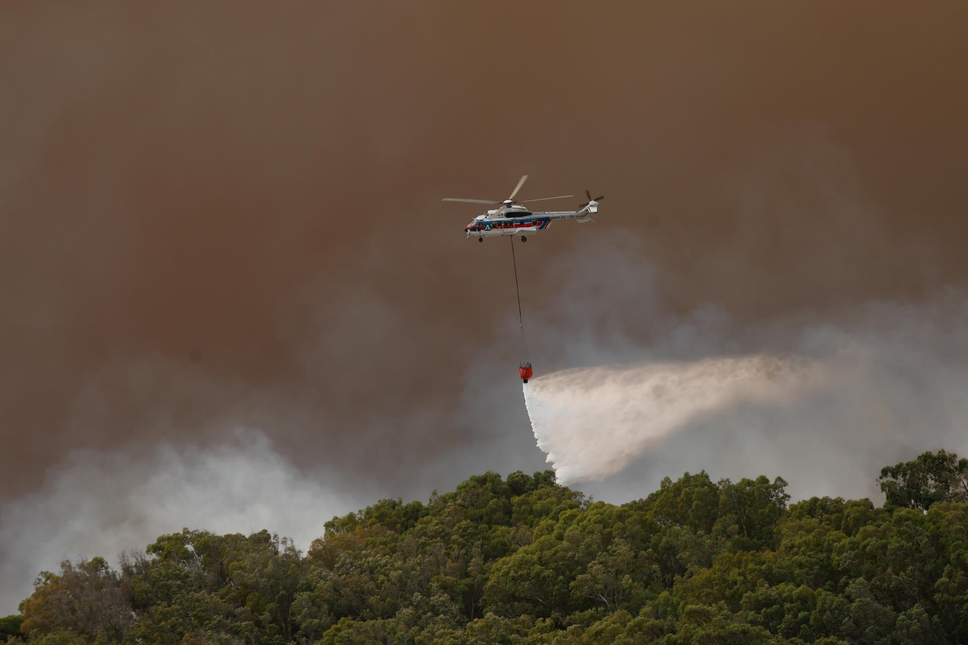 Estabilizado el incendio de Tarifa y los desalojados pueden volver a sus residencias Estabilizado el incendio de Tarifa y los desalojados pueden volver a sus residencias