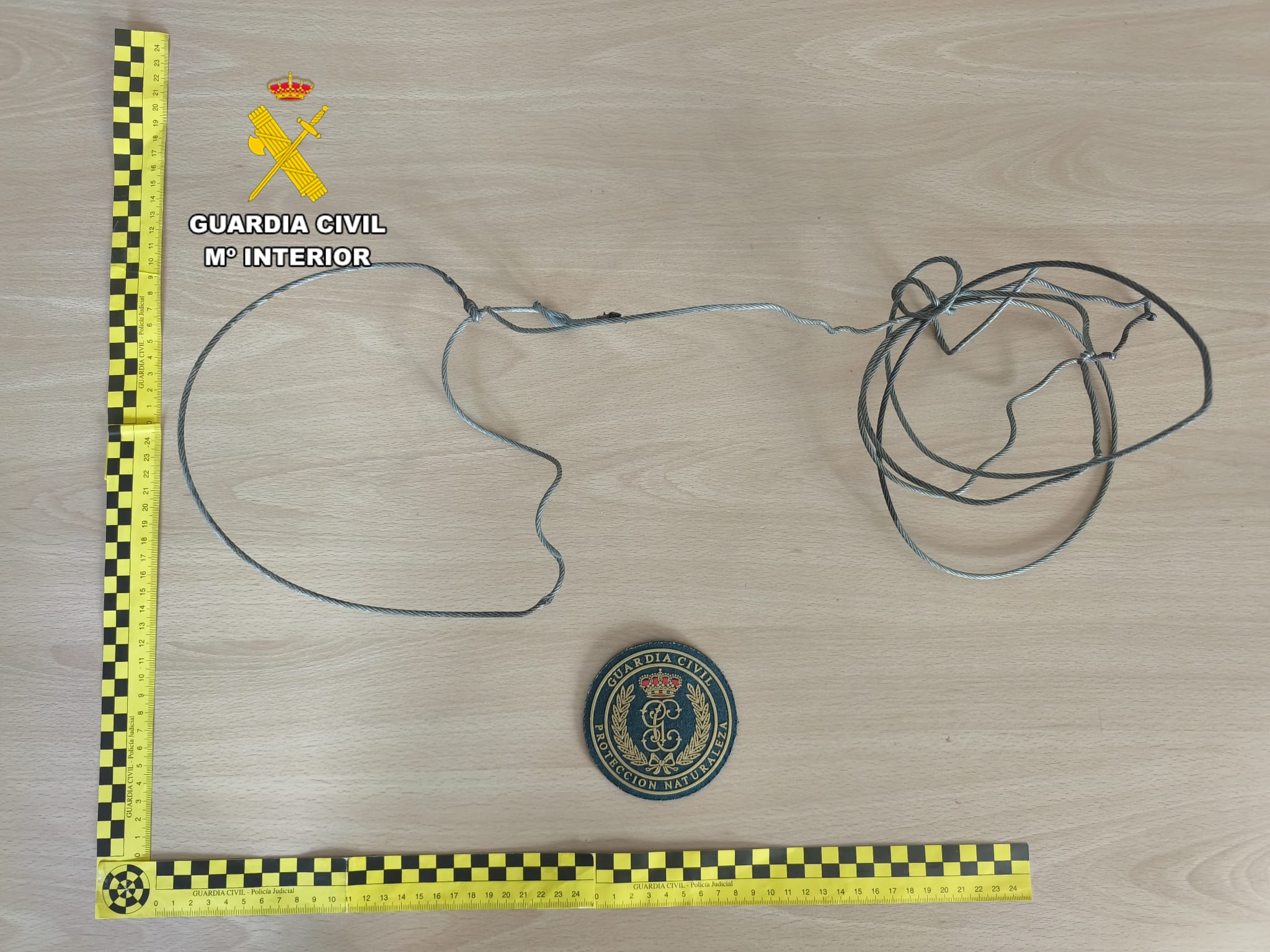 Un investigado por caza furtiva en Ourense Un investigado por caza furtiva en Ourense