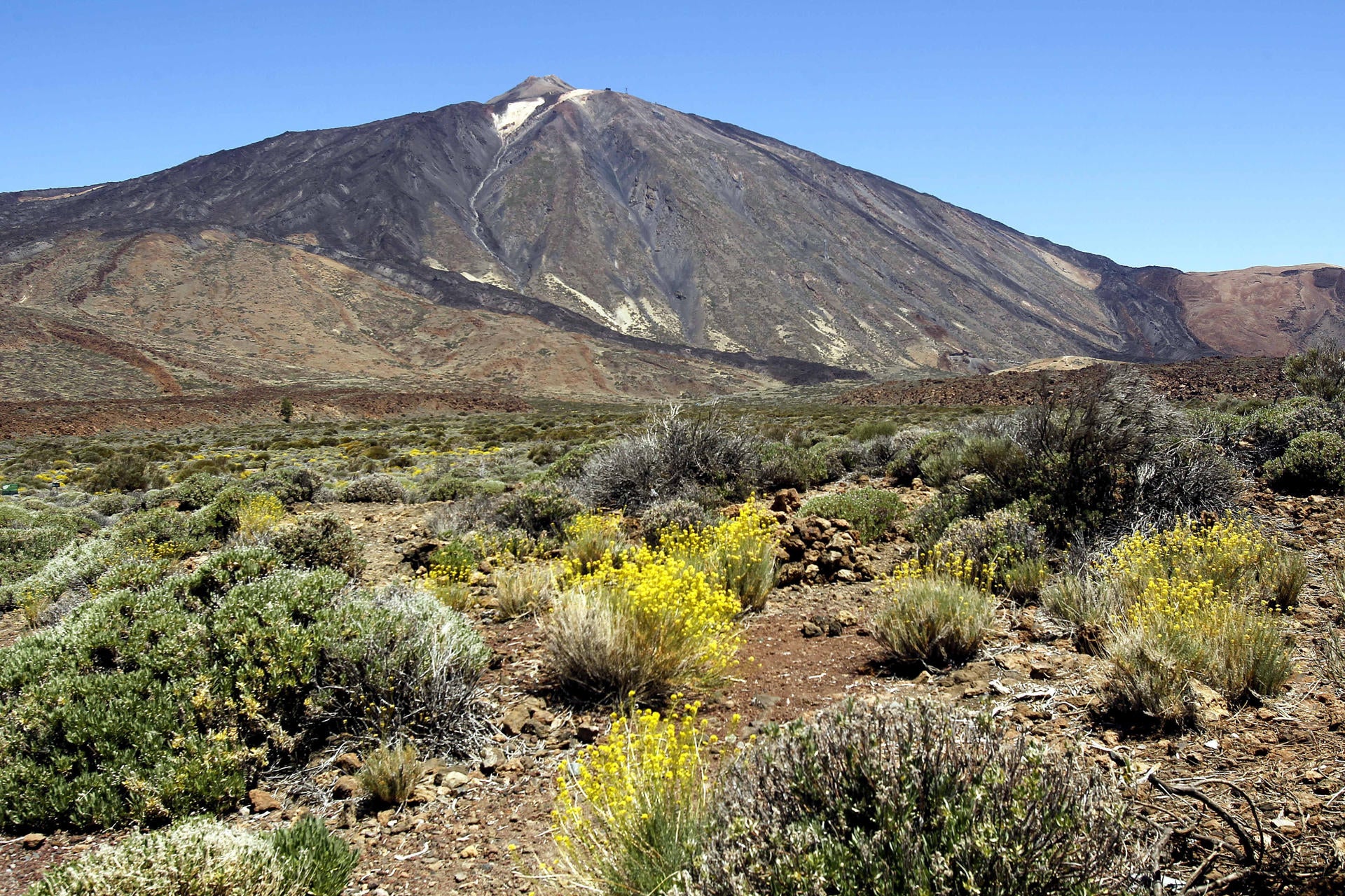 Las causas de los más de 700 microterremotos bajo el Teide en menos de 12 horas Las causas de los más de 700 microterremotos bajo el Teide en menos de 12 horas