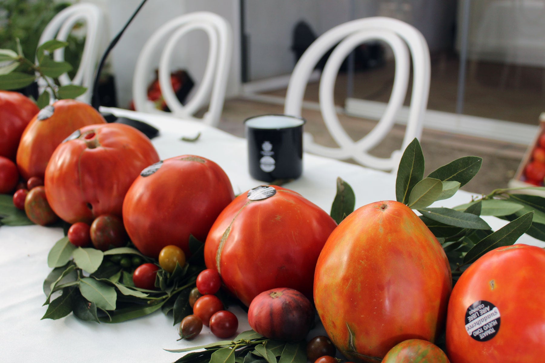 La tertulia “Tomate Huevo Toro” ensalza su importancia como patrimonio cultural del Valle del Guadalhorce La tertulia “Tomate Huevo Toro” ensalza su importancia como patrimonio cultural del Valle del Guadalhorce